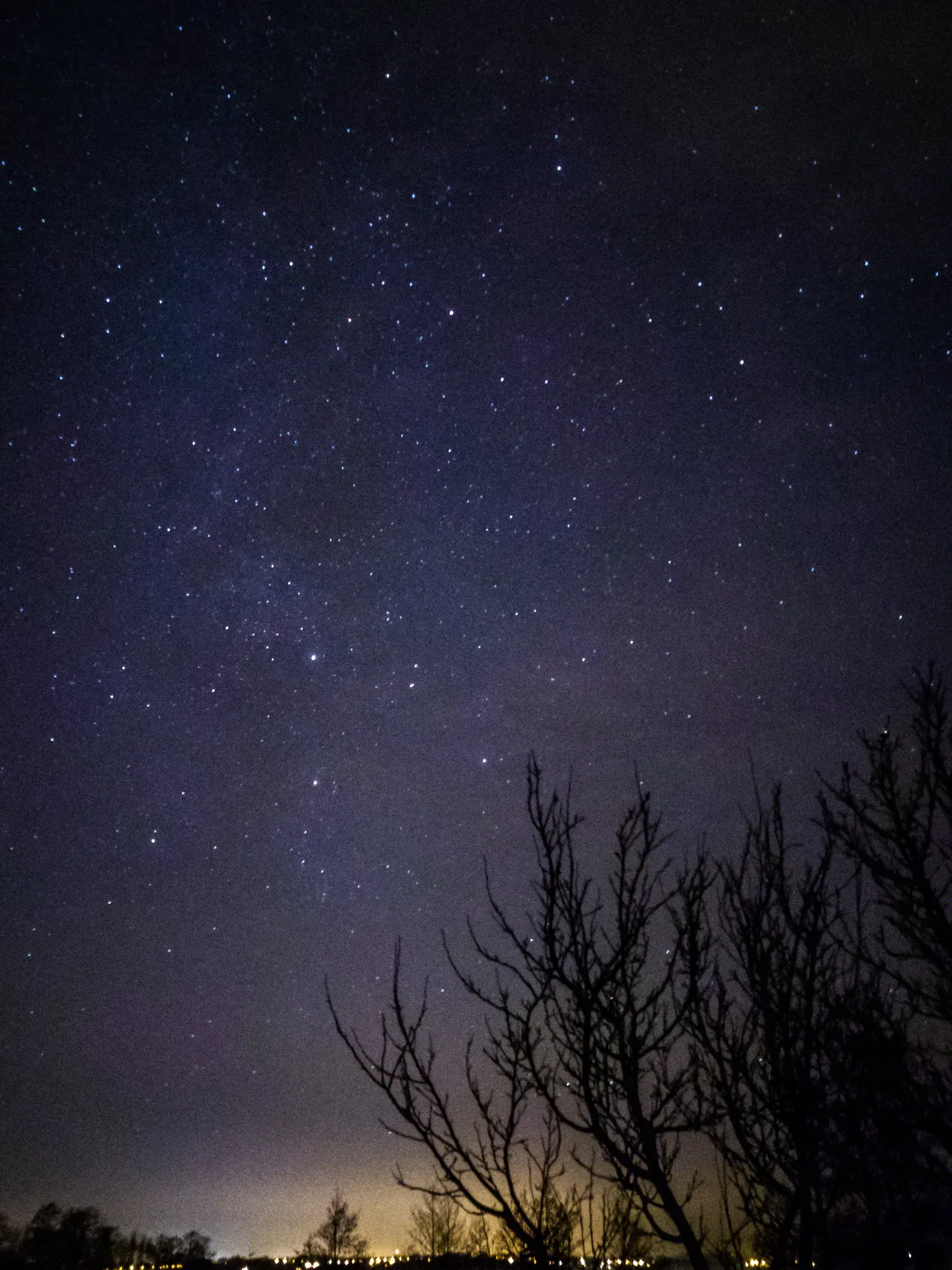 From the city edge, near a lake. The sky was lit and so was my brain.