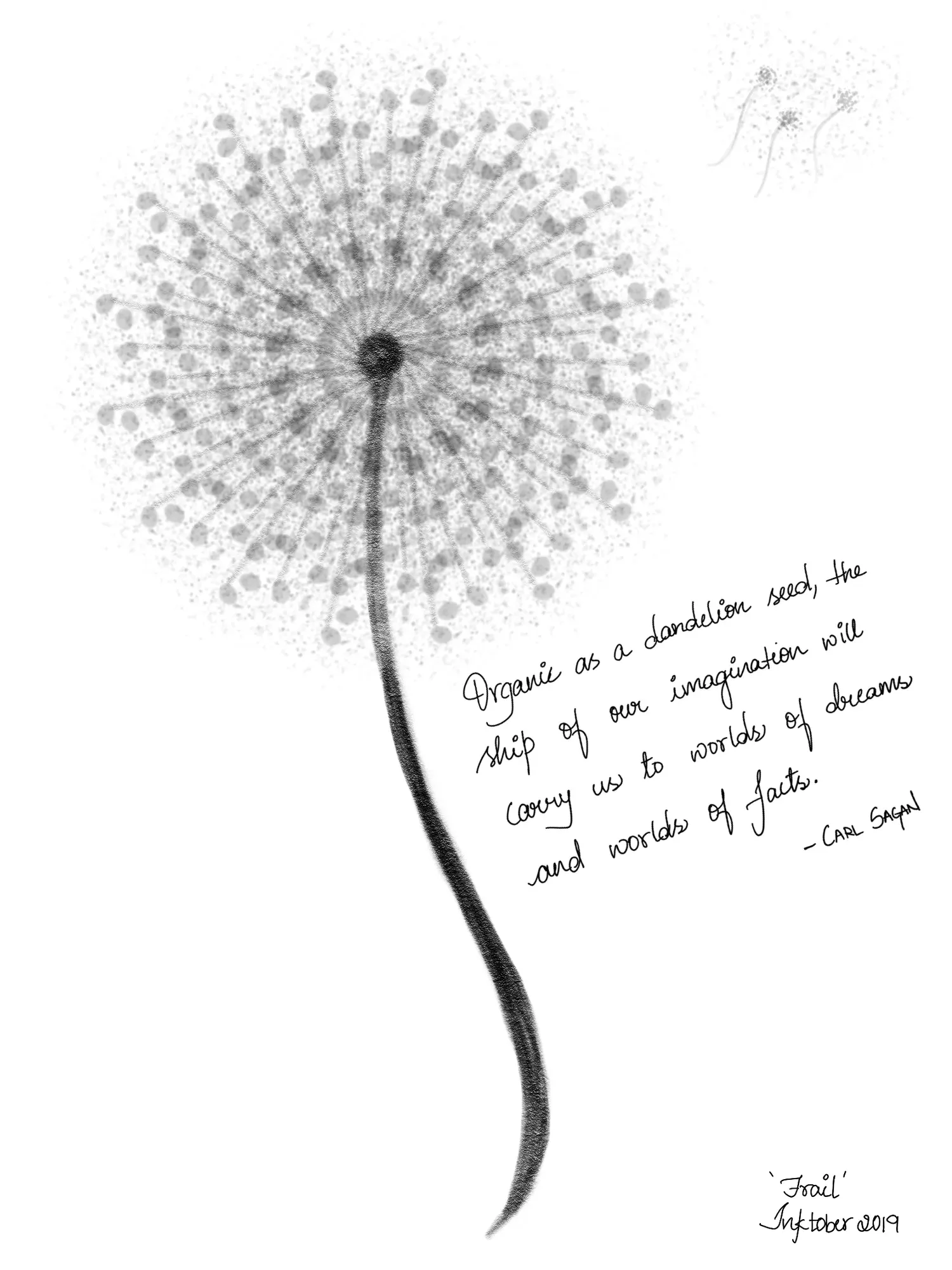 Day 8: Frail