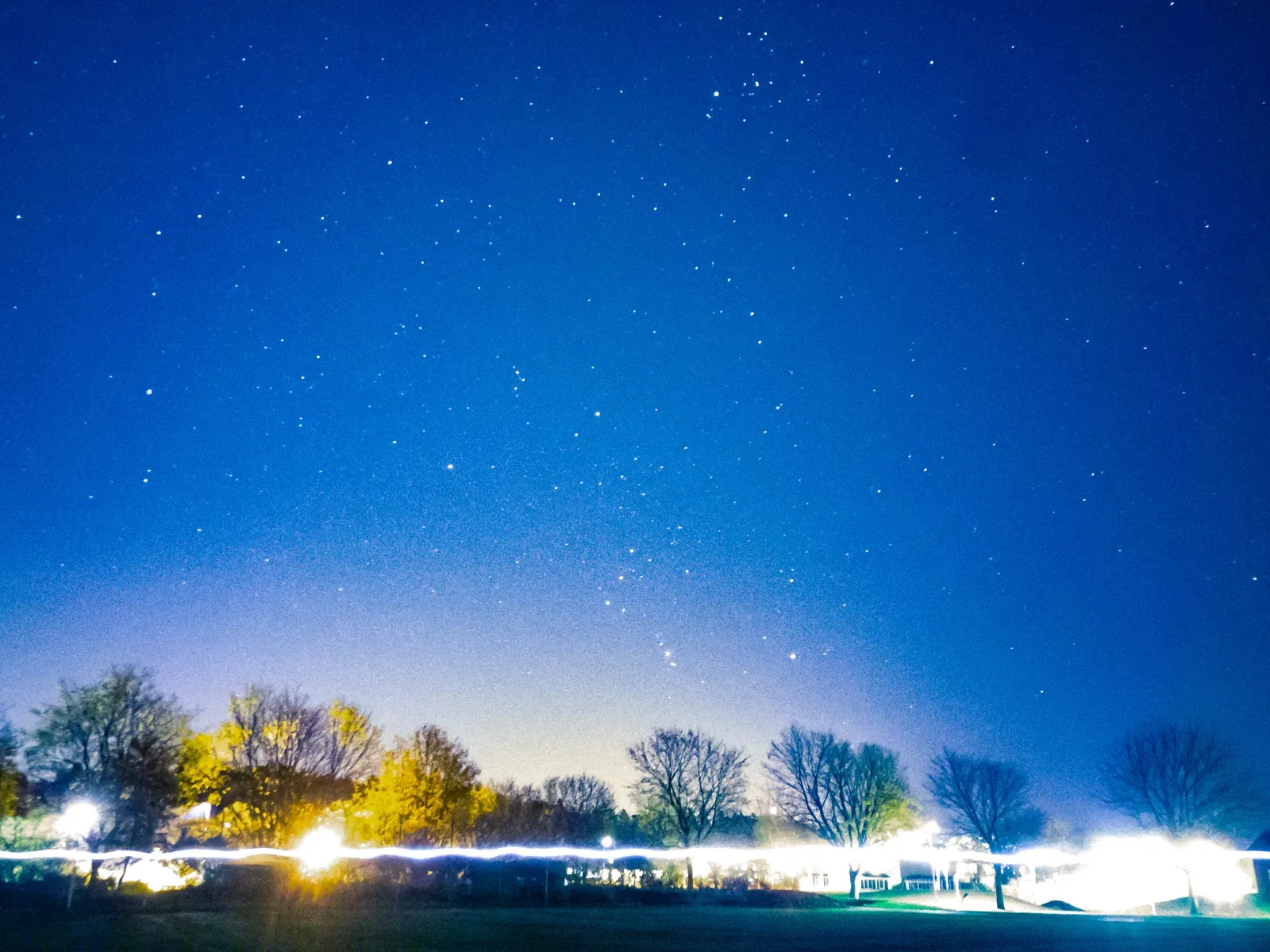 A long-exposure night sky with the Orion constellation overhead and a streak of torchlight in front of the trees.